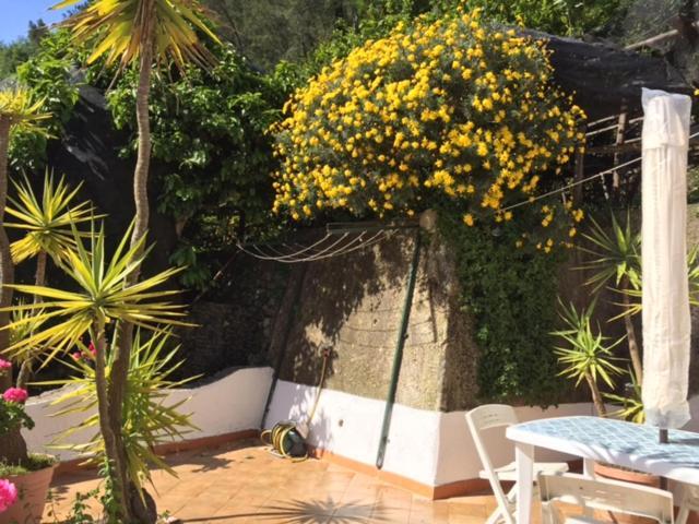 Apartmán Lemon Garden House Maiori Exteriér fotografie