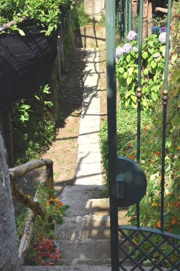 Apartmán Lemon Garden House Maiori Exteriér fotografie